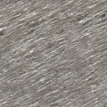 Silver Shine RI Silver Shine RI